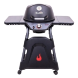 Best Portable Gas Grill 2025 – Char-Broil All-Star 120 B-Gas Review